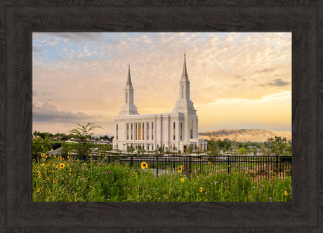 Lindon Temple - Joyful Day
