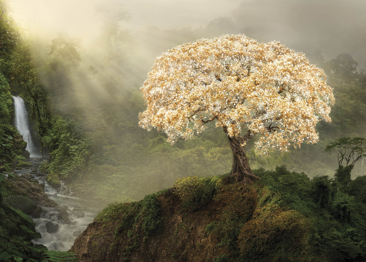 Tree of Life