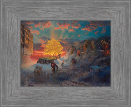 Tree of Life by Rex Price