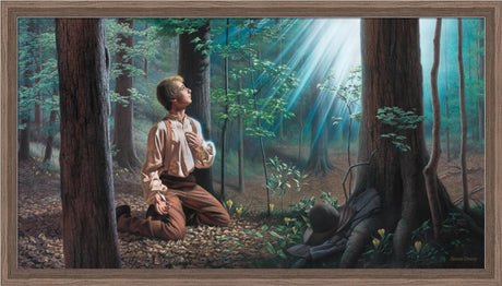 Let Him Ask In Faith by Simon Dewey