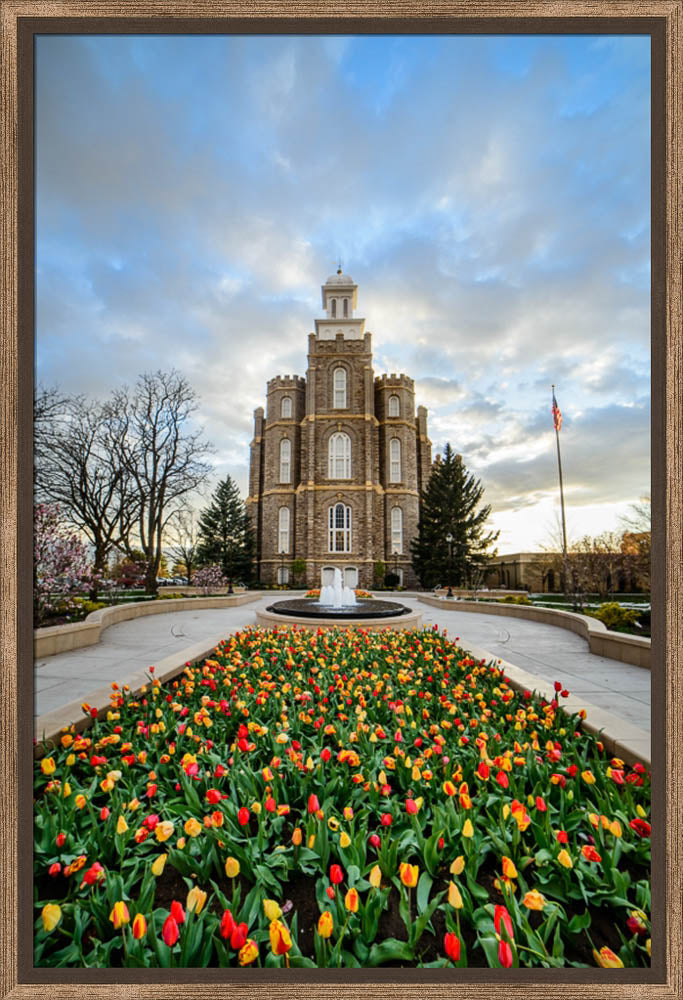 Logan Temple - Tulips
