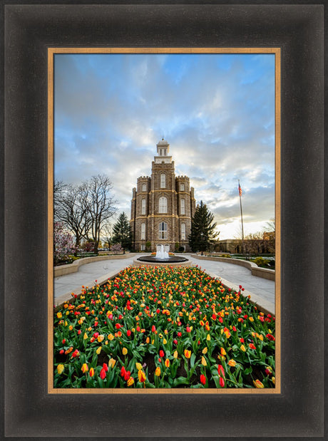 Logan Temple - Tulips by Scott Jarvie