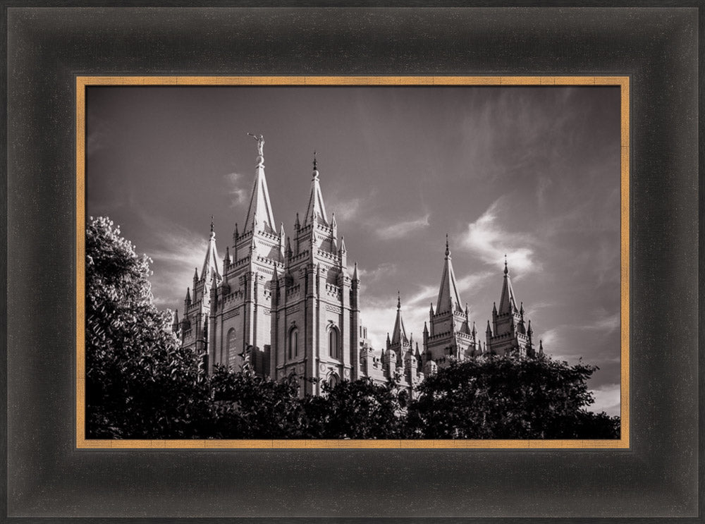 Salt Lake Temple - Black and White by Scott Jarvie