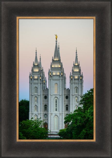 Salt Lake Temple - Morning by Scott Jarvie