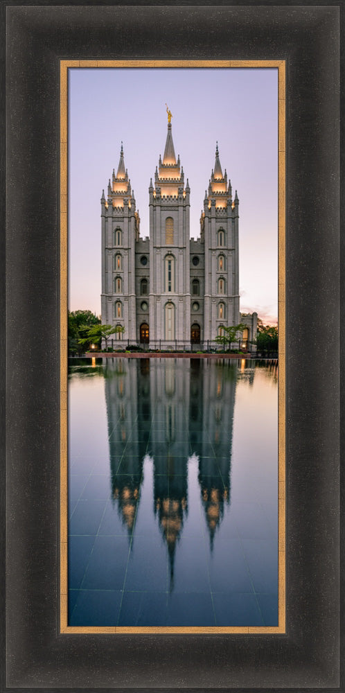 Salt Lake Temple - Tall Reflection by Scott Jarvie