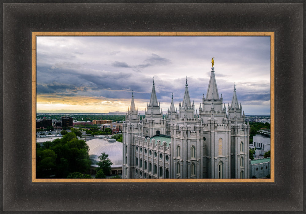 Salt Lake Temple - From Above by Scott Jarvie