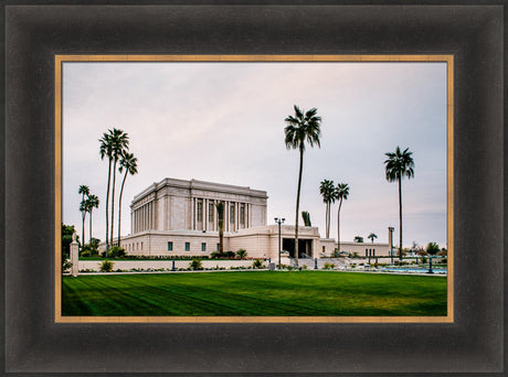 Mesa Temple - Palm Trees by Scott Jarvie