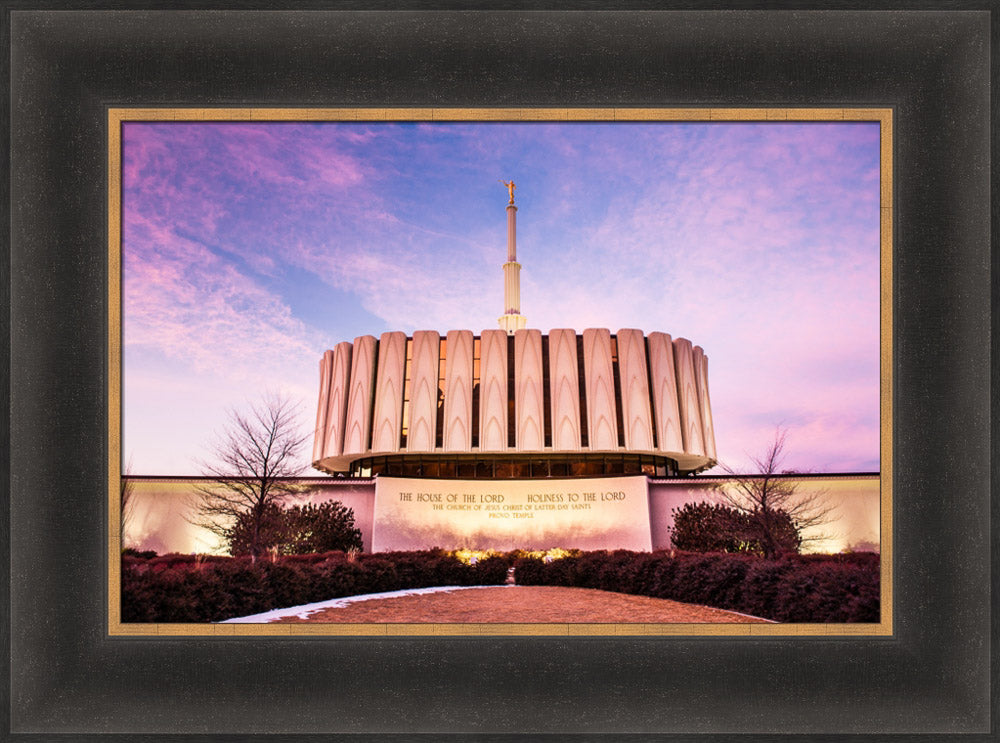 Provo Temple - From the Back by Scott Jarvie