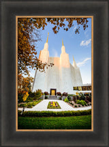 Washington DC Temple - Through the Leaves by Scott Jarvie