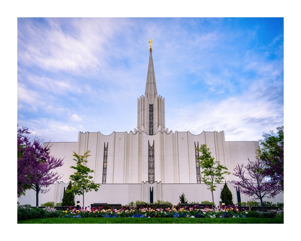 Jordan River Temple - Spring Blossoms