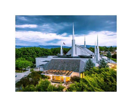 Boise Temple - Above the Trees