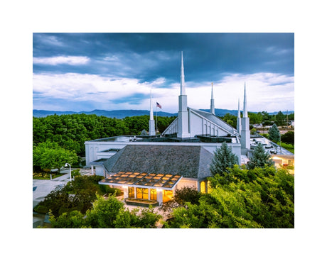 Boise Temple - Above the Trees