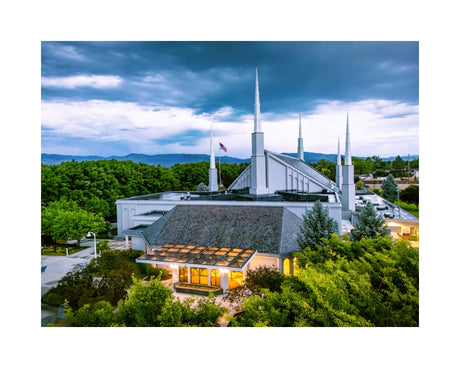 Boise Temple - Above the Trees