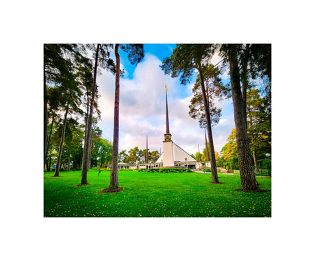Stockholm Sweden Temple - Through the Trees