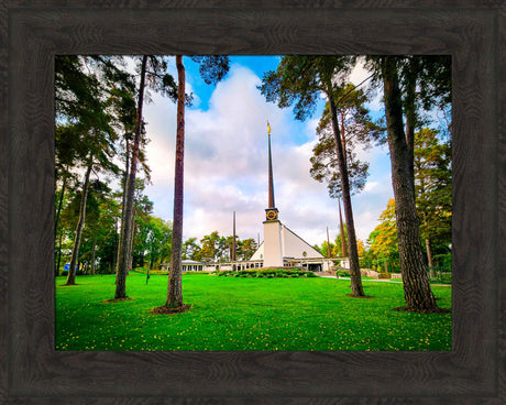 Stockholm Sweden Temple - Through the Trees - framed giclee canvas