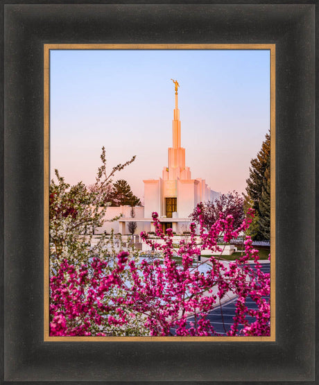 Denver Temple - Spring Sunrise by Scott Jarvie