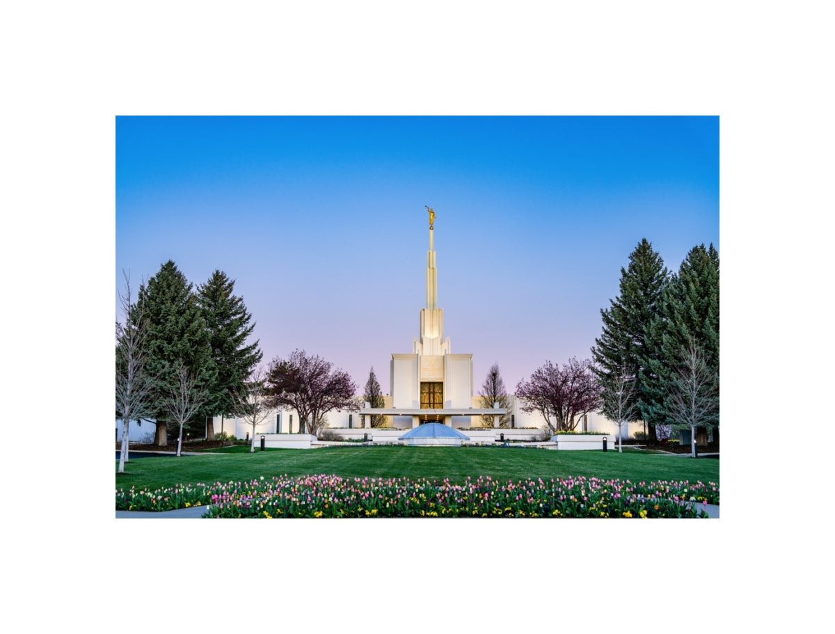 Denver Temple - Flowers