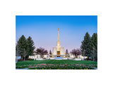 Denver Temple - Flowers