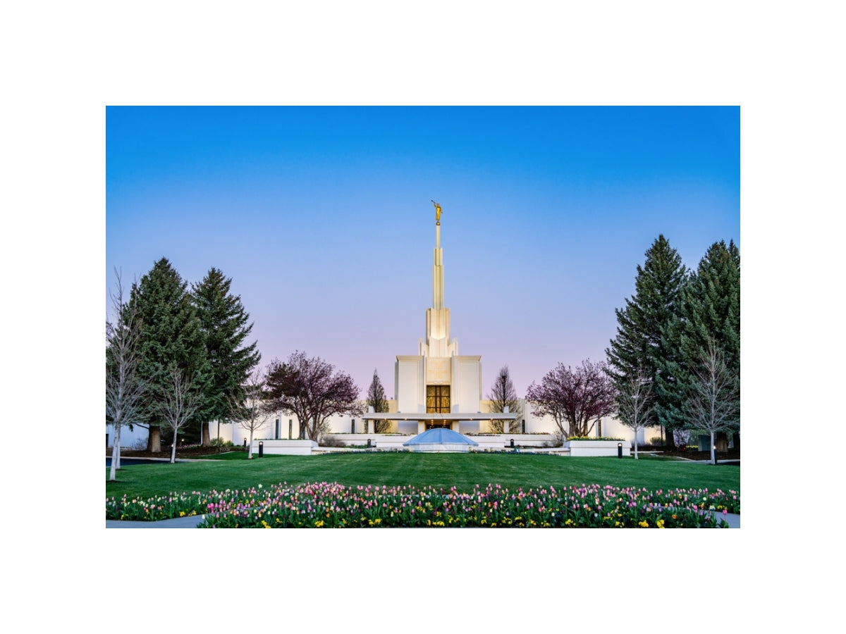 Denver Temple - Flowers
