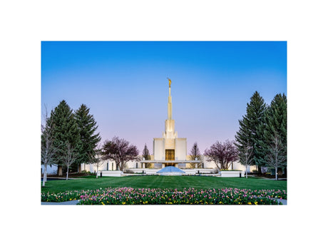 Denver Temple - Flowers