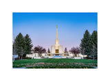 Denver Temple - Flowers