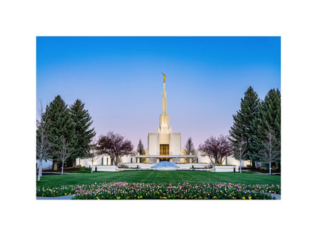 Denver Temple - Flowers