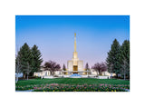 Denver Temple - Flowers