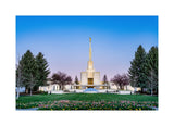 Denver Temple - Flowers