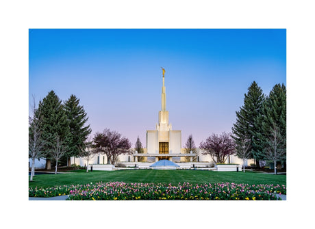 Denver Temple - Flowers