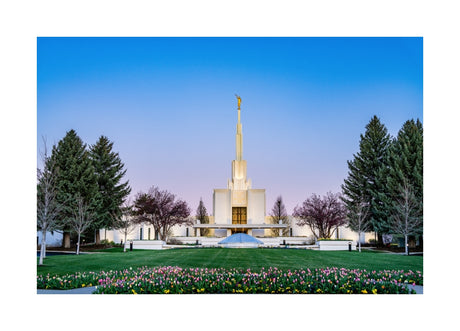 Denver Temple - Flowers