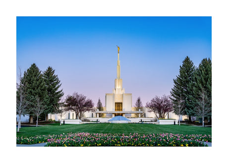 Denver Temple - Flowers
