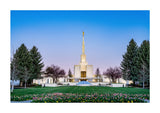 Denver Temple - Flowers