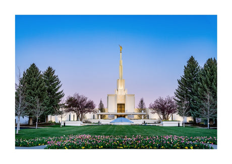 Denver Temple - Flowers
