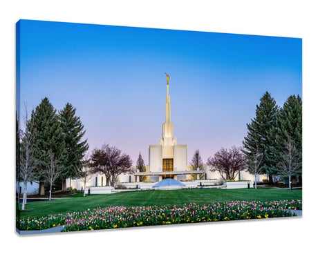 Denver Temple - Flowers