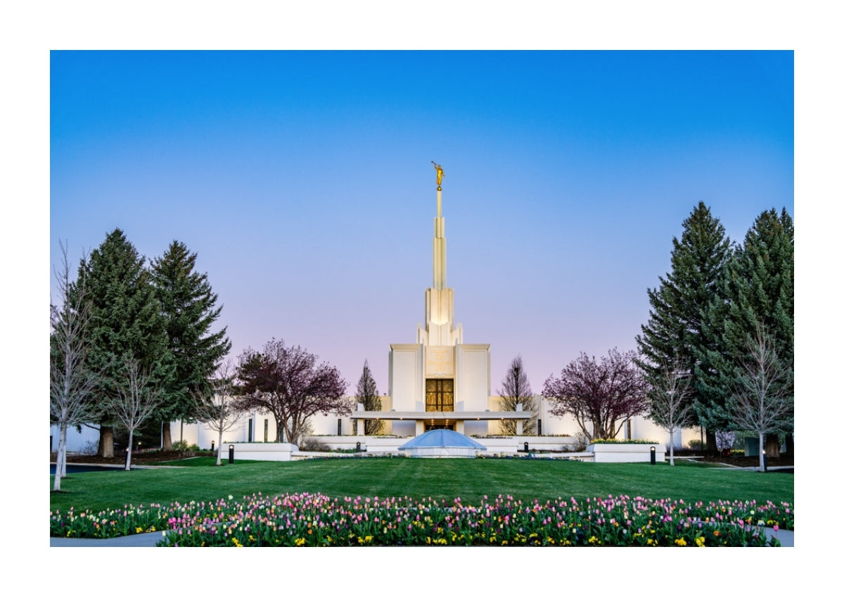 Denver Temple - Flowers