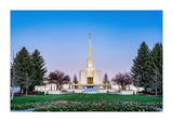 Denver Temple - Flowers
