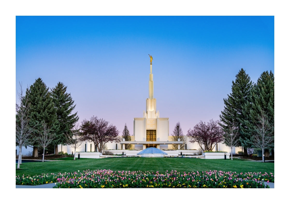 Denver Temple - Flowers