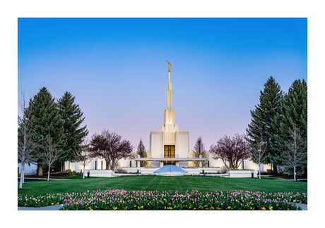 Denver Temple - Flowers