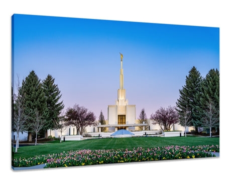 Denver Temple - Flowers