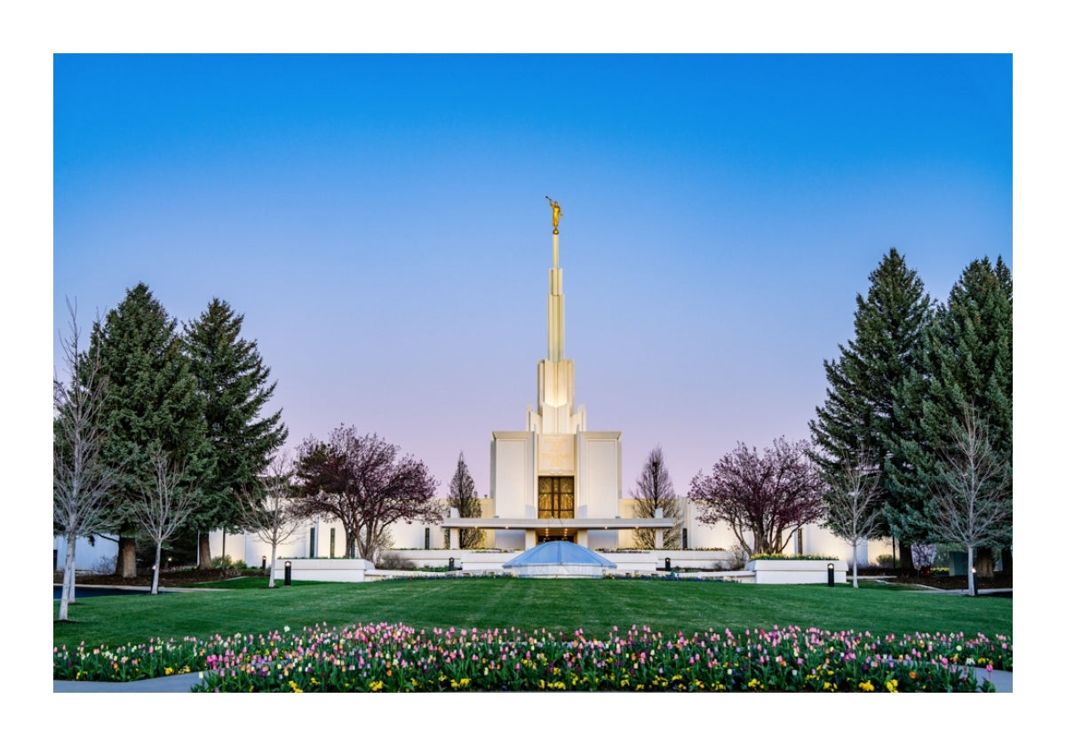Denver Temple - Flowers