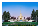 Denver Temple - Flowers