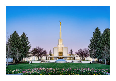 Denver Temple - Flowers