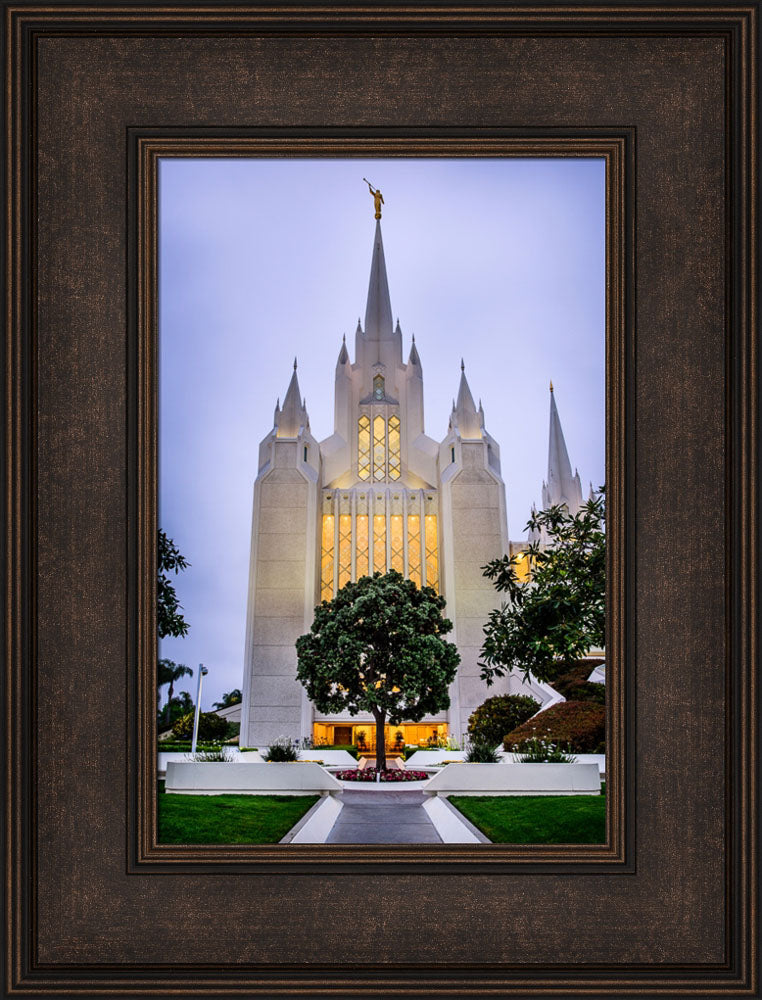 San Diego Temple - Tree by Scott Jarvie | Altus Fine Art
