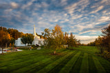 Palmyra Temple - From on High