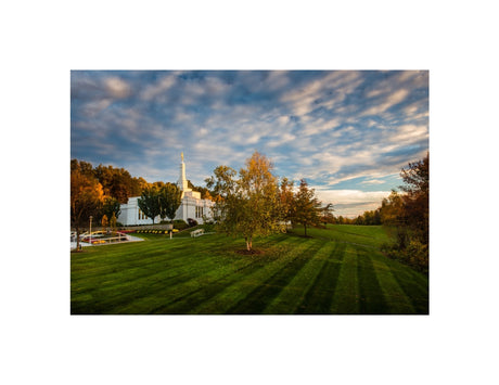 Palmyra Temple - From on High
