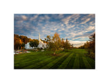 Palmyra Temple - From on High