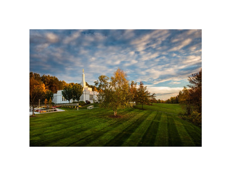 Palmyra Temple - From on High