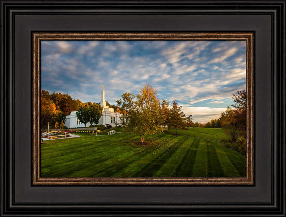 Palmyra Temple - From on High