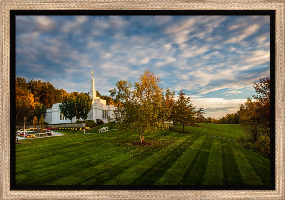 Palmyra Temple - From on High