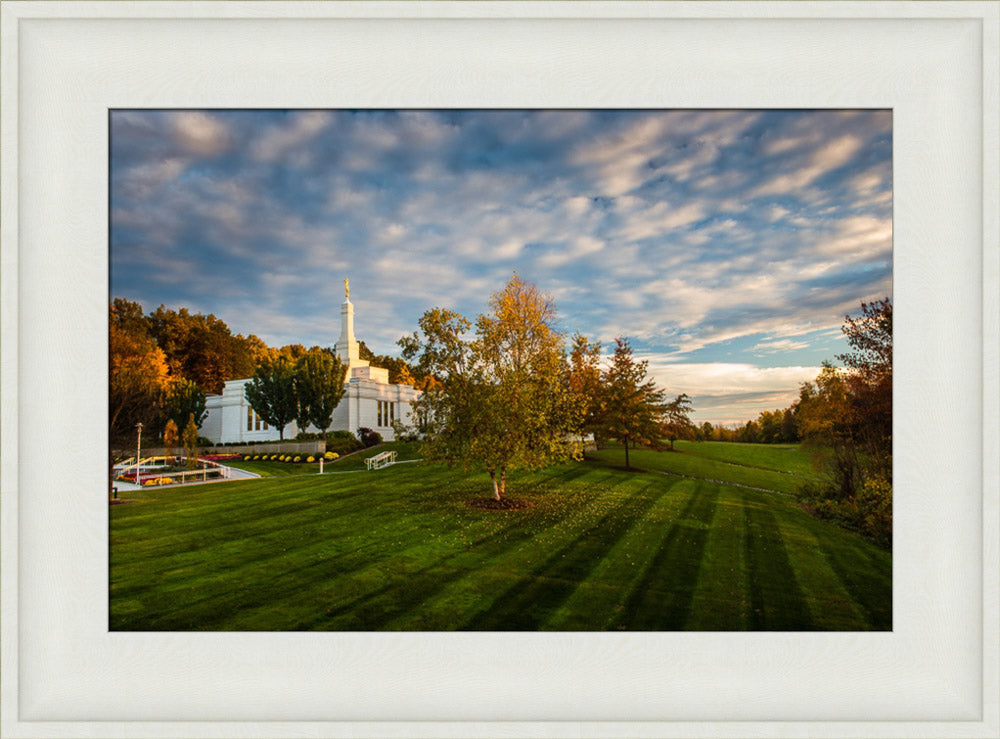 Palmyra Temple - From on High